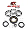 All Balls Rear Differential Bearing  Kit Honda TRX500 TRX420