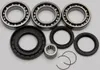 All Balls Rear Differential Bearing  Kit Honda TRX500 TRX420