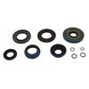 All Balls Transaxle Seal Kit