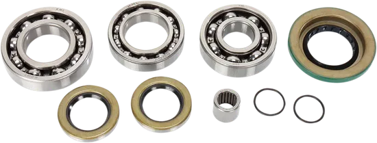 Moose Rear Differential Bearing Kit