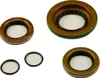 All Balls Rear Differential Seal Kit