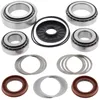 All Balls Rear Differential Bearing  Kit Polaris RZR 800 4 S
