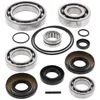 AB Rear Differential Bearing  Kit Kawasaki Brute Force 650-750