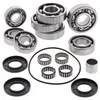 All Balls Transaxle Bearing Kit Polaris Scrambler 500