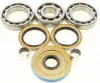 All Balls Rear Differential Bearing  Kit Polaris Sportsman 800