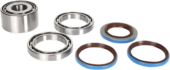 Moose Rear Differential Bearing Kit