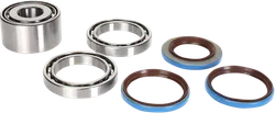 Moose Rear Differential Bearing Kit
