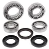 AB Rear Differential Bearing  Kit for Yamaha Grizzly Kodiak 450