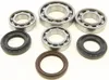 AB Rear Differential Bearing  Kit for Yamaha Grizzly Kodiak 450