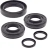 All Balls Front Differential Seal Kit