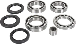 Moose Rear Differential Bearing Kit