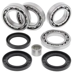 All Balls Rear Differential Bearing  Kit Arctic Cat Wildcat 4 X