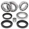 All Balls Rear Differential Bearing  Kit Arctic Cat Wildcat 4 X