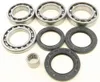 All Balls Rear Differential Bearing  Kit Arctic Cat Wildcat 4 X