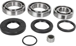 Moose Rear Differential Bearing Kit