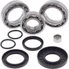 AB Rear Differential Bearing  Kit for Kawasaki Brute Force 300