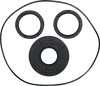 Moose Front Axle Differential Seals Only Kit