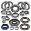 All Balls Rear Differential Bearing  Kit for Yamaha Kodiak 700