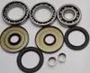AB Rear Differential Bearing  Kit forr Honda Rubicon Rancher