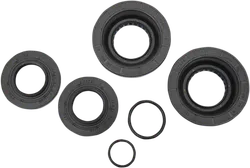 Moose Rear Axle Differential Seals Only Kit