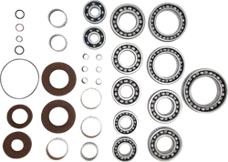 Moose Transaxle Transmission Bearing Kit
