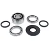 AB Front Differential Bearing  Kit for Polaris RZR XP 4 RS1 Pro