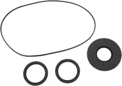 Moose Front Axle Differential Seals Only Kit