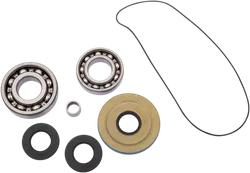 Moose Front Differential Bearing Kit