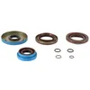 All Balls Trans Axle Seals Kit