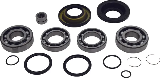 All Balls Rear Differential Bearing Kit