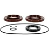 All Balls Rear Differential Bearing Kit