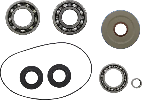 Moose Rear Differential Bearing Kit