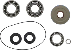 Moose Rear Differential Bearing Kit