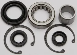 All Balls Inner Primary Bearing and Seal Kit for
