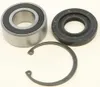 All Balls Inner Primary Bearing Seal Kit