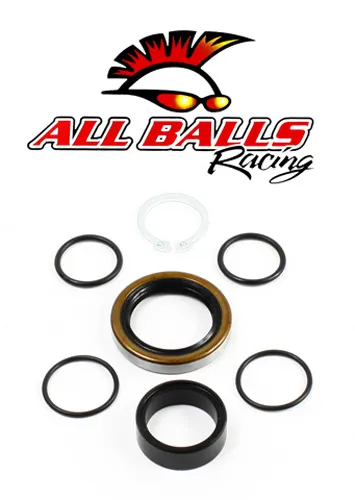 All Balls Counter Shaft Crank Shaft Bearing Kit