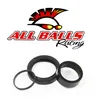 All Balls Counter Shaft Crank Shaft Bearing Kit