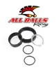 All Balls Counter Shaft Crank Shaft Bearing Kit