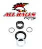 All Balls Counter Shaft Crank Shaft Bearing Kit