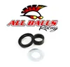 All Balls Counter Shaft Crank Shaft Bearing Kit