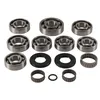 All Balls Racing Transmission Rebuild Kit for Polaris Magnum 325