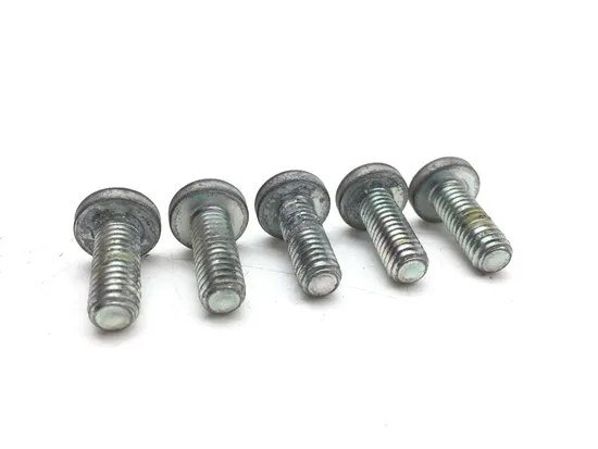 Front Brake Rotor Bolts 2007 Harley-Davidson Softail Custom FXSTC 2662A