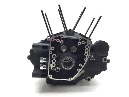 Engine Left Right Center Cases 01 Harley Softail Deuce EFI FXSTDI 2655A