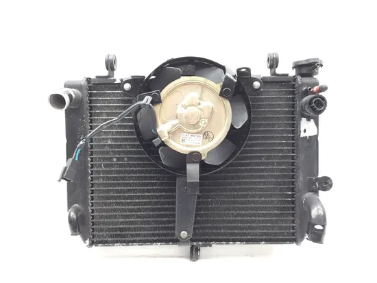 Radiator Cooling Front Fluid with Fan 2000 Yamaha YZF R6 2689A