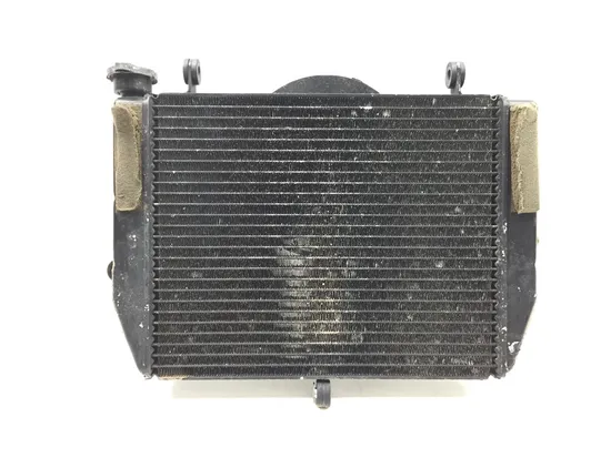 Radiator Cooling Front Fluid with Fan 2000 Yamaha YZF R6 2689A