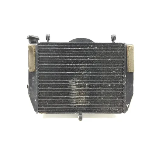 Radiator Cooling Front Fluid with Fan 2000 Yamaha YZF R6 2689A