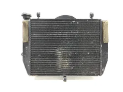 Radiator Cooling Front Fluid with Fan 2000 Yamaha YZF R6 2689A