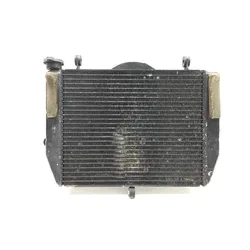 Radiator Cooling Front Fluid with Fan 2000 Yamaha YZF R6 2689A