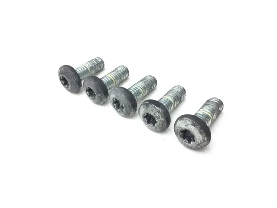 Rear Brake Rotor Disc Bolts 99 Harley Road King Classic EFI FLHRCI 2668