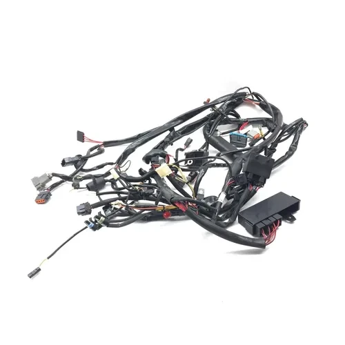 Main Engine Wiring Harness 99 Harley-Davidson Road King Classic EFI FLHRCI 2668